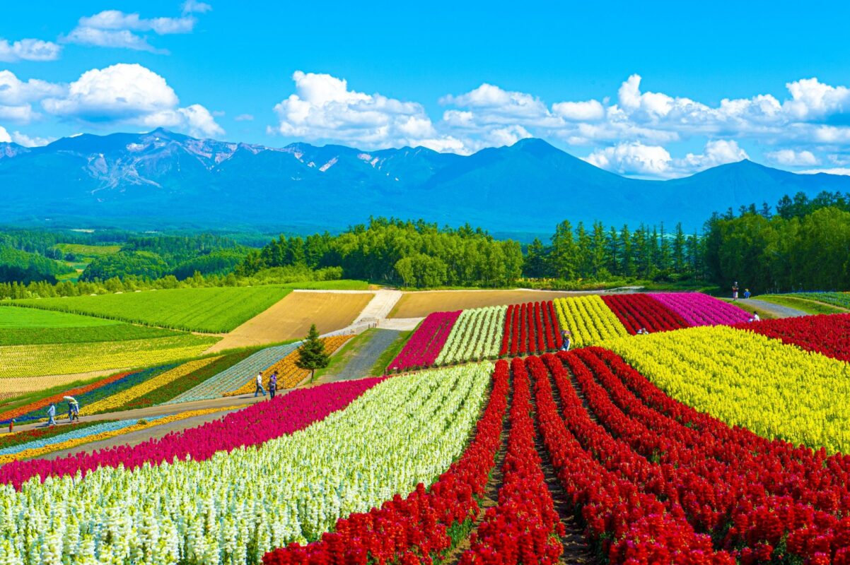 Hokkaido - Nhật Bản