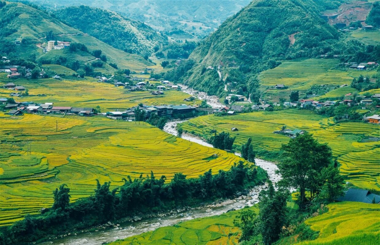 Sa Pa mùa lúa chín 4 (1)
