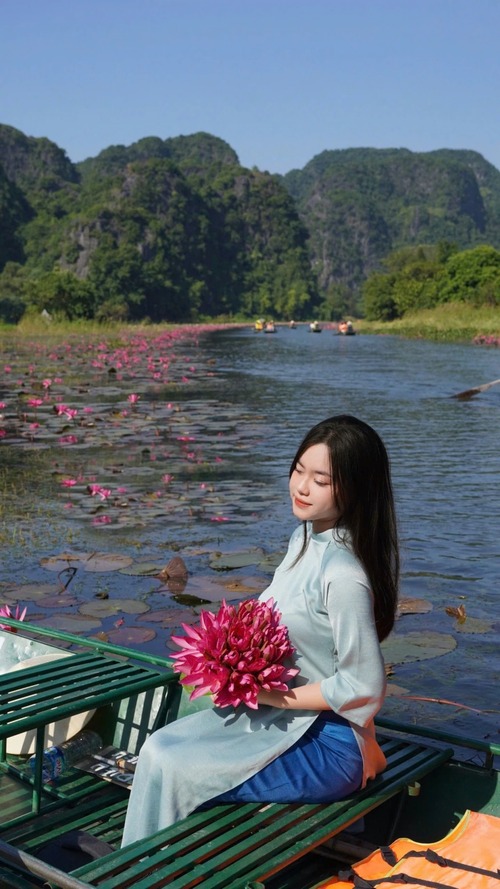 Hoa súng Ninh Bình 6